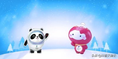 ​什么是冰墩墩介绍（北京冬奥会吉祥物“冰墩墩”，快来一起了解下吧）