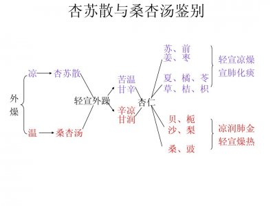 ​桑杏汤（古代经典名方1077）治干咳