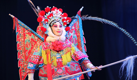 中国有哪些戏曲种类,中国十大戏曲种类及名角图3