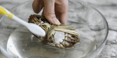 ​螃蟹离开水最多能活几天,螃蟹离开水能活几天或几个小时