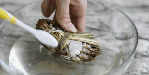 螃蟹离开水能活几天或几个小时