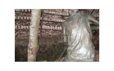 ​我的傻丫头全文阅读(我的傻姑娘小说)