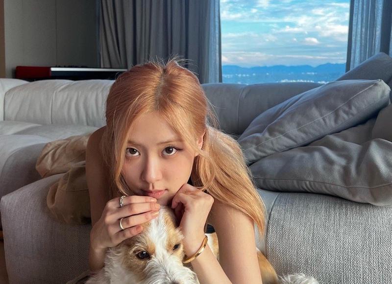 强森的所有电影大全（推荐10部道恩·强森的电影）