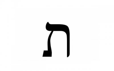 ​二手平台贩卖爱情(在哪里转让网恋对象)