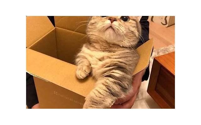 摩羯男20个特点以及挽回摩羯男的5个技巧