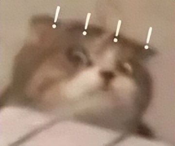 ​俄语“苏卡”到底是什么意思