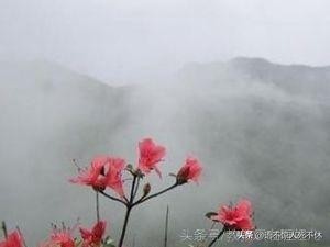 看图猜成语：乌龟站在箭上（打一成语）你知道是什么成语吗？