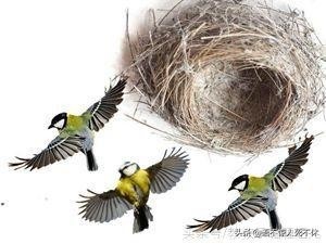 看图猜成语：乌龟站在箭上（打一成语）你知道是什么成语吗？