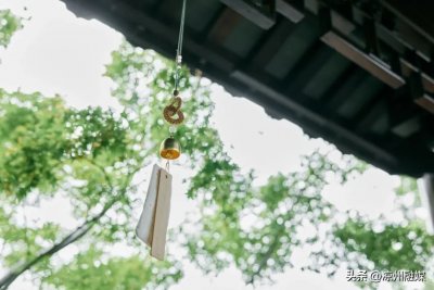 ​什么是征集计划？