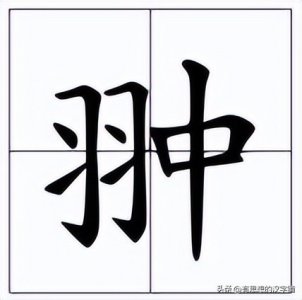 ​左边一个“羽”右边一个“中”念什么字?