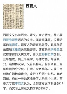 ​我来用大白话聊聊西夏文这回事，分成三部分，不啰嗦