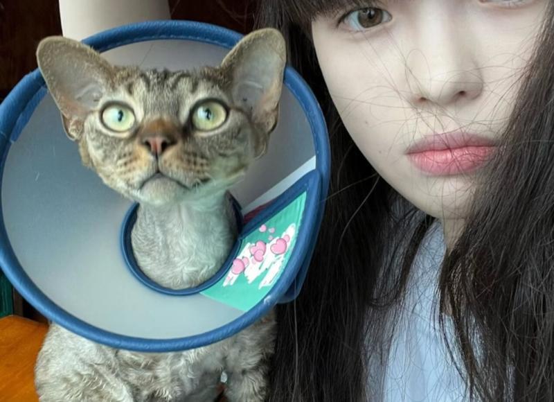 拒绝追求者的正确方式 别耽误人家了