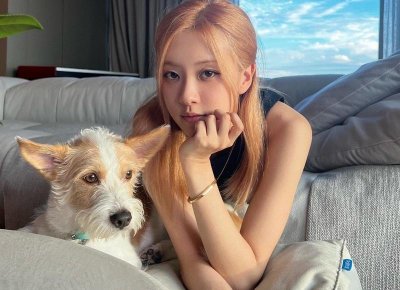 ​张绍刚刘俐俐（张绍刚却总是被人怼）