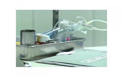 ​江西“狗坐轿子”被全网怒骂：狗主人同意，轿夫同意，他们不同意……