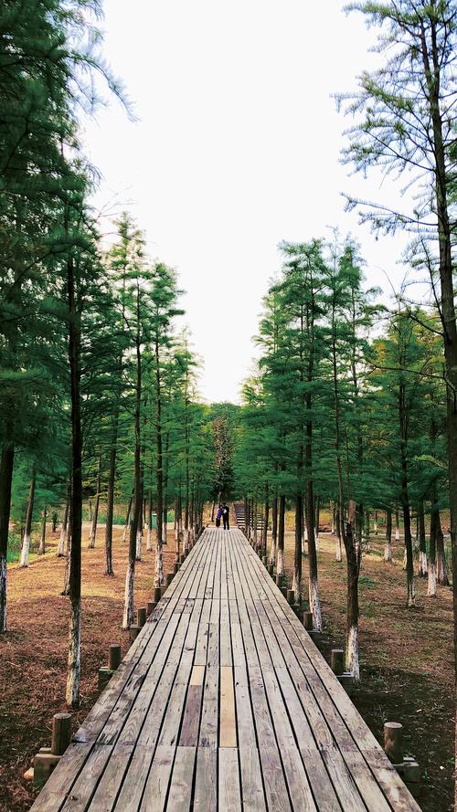 4、常州：天长石林国家森林公园