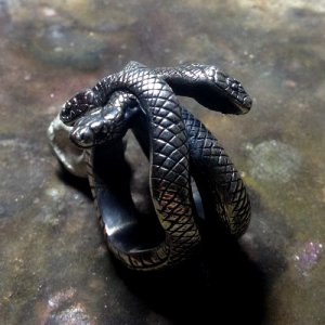 ​五台山三头蛇图片是真的吗太诡异了 看见三头蛇要小心有血光之灾