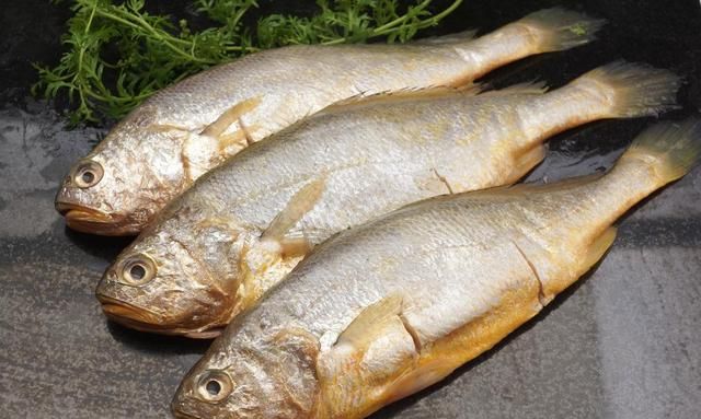 海鱼都有哪些，海鱼都有什么鱼？图3