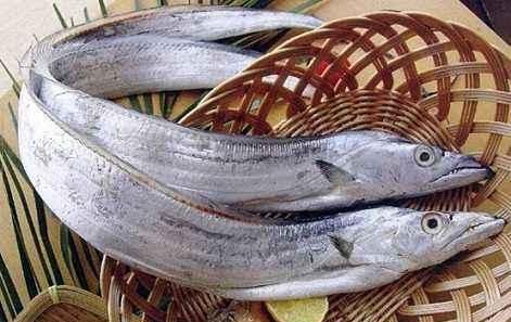 海鱼都有哪些，海鱼都有什么鱼？图2