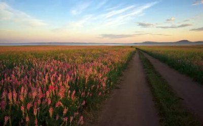 ​比较淡然的个性签名（洒脱淡然的个性签名短句）