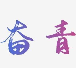 愤青的意思，专业解释