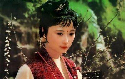 ​红楼梦影响了我(红楼梦的读后)