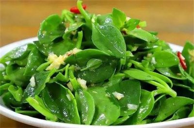 ​田七菜全身都是宝，大厨教你田七菜新吃法，清热解毒，营养又解腻