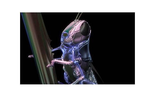 七夕情人节的搞笑段子