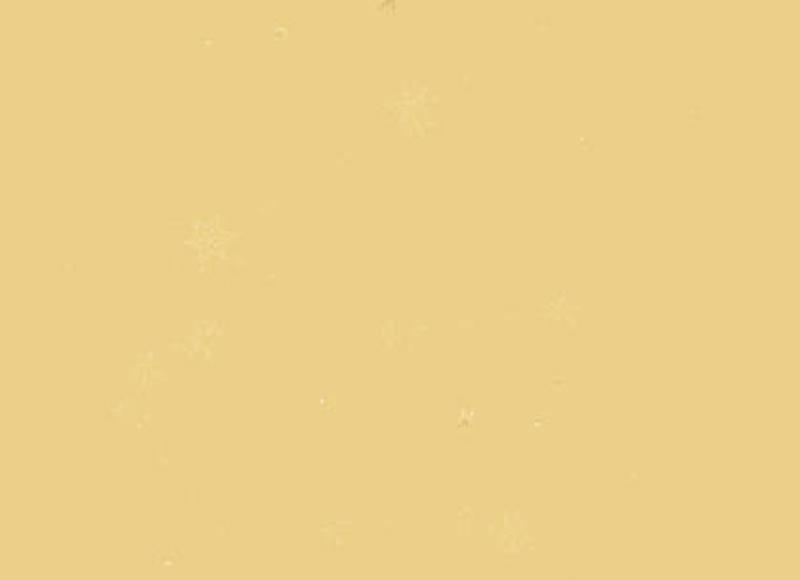 你之所以有劳碌命，是因为这4点，吸走了你的财运