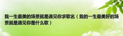 ​我的一生最美好的场景就是遇见你这是什么歌的歌词（你有听过吗）