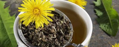 ​吃药时可以喝蒲公英茶吗 喝蒲公英茶能喝药吗