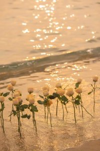 ​发明家奇奇兔(发明家奇奇兔的故事读后感200字)