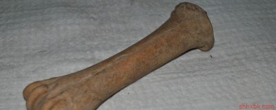 ​鸡骨文玩制作过程 鸡骨文玩怎么做