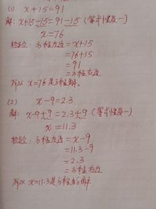 ​什么是解方程(什么是解方程组的基本思想)