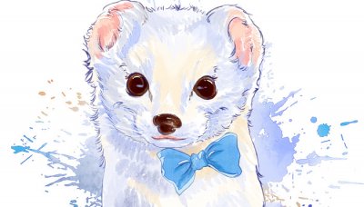 ​黄鼠狼的天敌