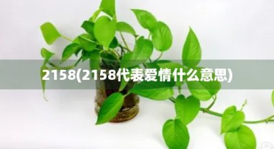 ​2158(2158代表爱情什么意思)