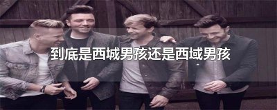 ​到底是西城男孩还是西域男孩