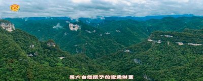 ​保护野生动物的重要性