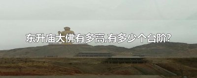 ​东升庙大佛有多高,有多少个台阶?