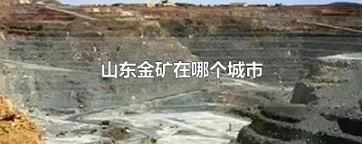 ​山东金矿在哪个城市