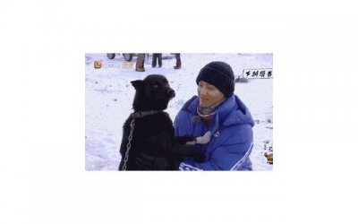 ​强迫是什么心理症状