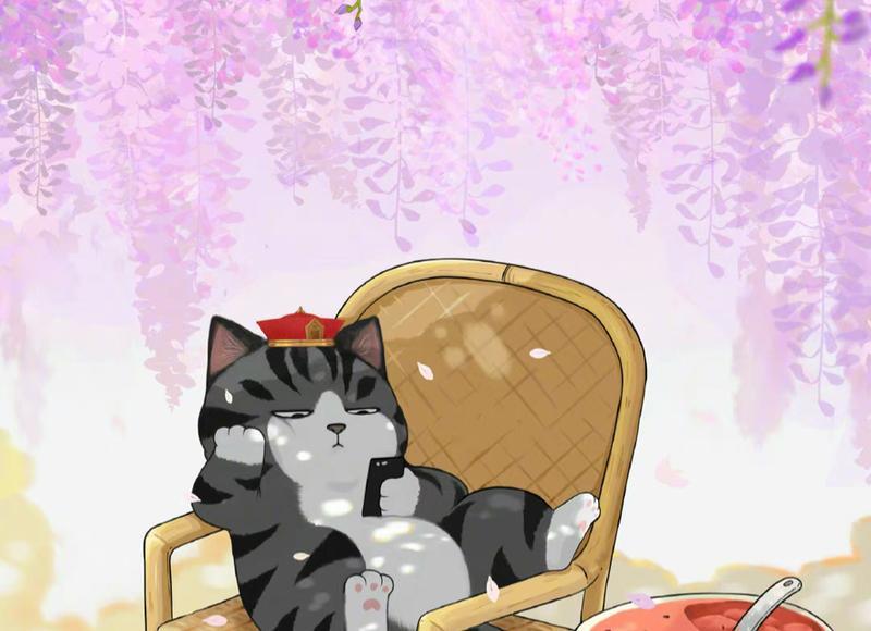 艺匠摄影和韩国艺匠的区别介绍