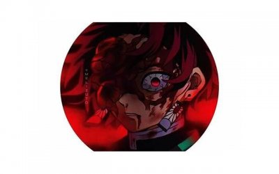 ​pdp测试 猫头鹰