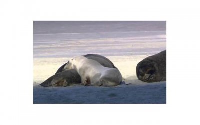 ​女童遭亲妈虐待险丧命惹众怒