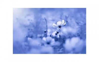 ​妇女是什么意思？介绍古今中外对女性的定义