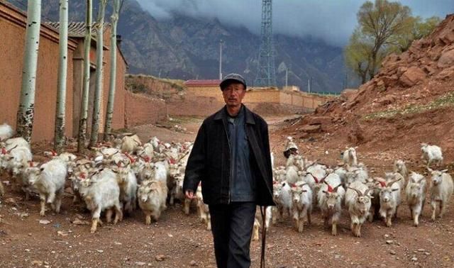 南岭村为什么是中国第一村,深圳南岭村是靠什么发展创富的?图4