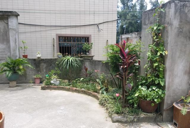 南岭村为什么是中国第一村,深圳南岭村是靠什么发展创富的?图2