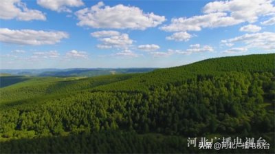 ​一个名字，一片林！关于塞罕坝我们必须知道的故事……