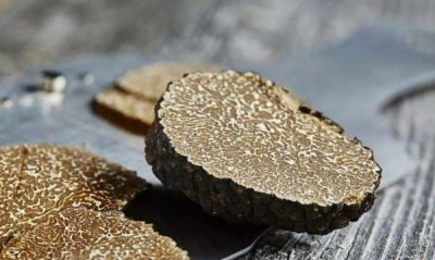 松露长什么样,松露是怎么形成的