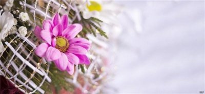 充满正能量阳光短句(充满阳光的经典句子)