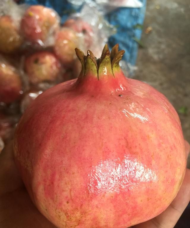 怎么挑石榴比较甜,为什么石榴果肉是白的却是甜的?图5